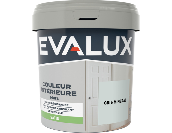 Peinture mur intérieur Satin 0,75 L Gris minéral - Evalux - Brico Dépôt
