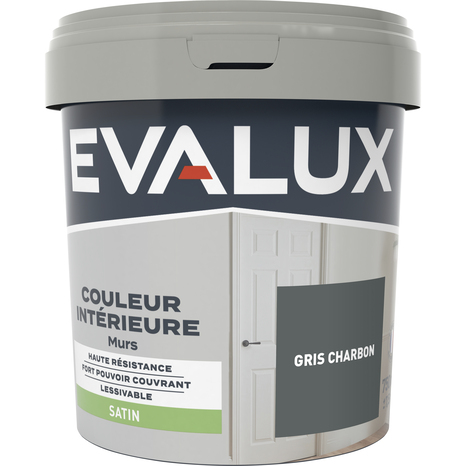 Peinture mur intérieur Satin 0,75 L Gris charbon - Evalux - Brico Dépôt