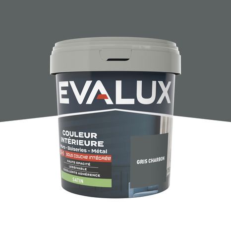Peinture mur intérieur 2 en 1 Satin 0,75 L Gris charbon - Evalux - Brico Dépôt