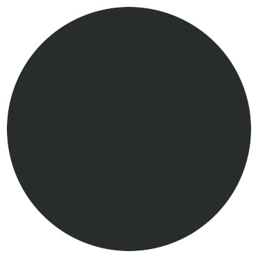 Peinture extérieure Satin multi supports 0,75 L noir - Evalux - Brico Dépôt