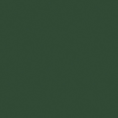 Peinture métal extérieur brillant 0,5 L vert basque - Ripolin - Brico Dépôt