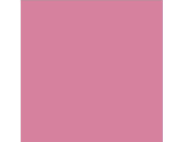 Peinture extérieure Satin multi supports 0,75 L rose pâle - Evalux - Brico Dépôt