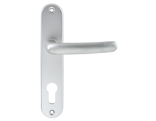 Ensemble de porte entraxe 165 mm avec serrure pour cylindre "budget 165 tcy" - Assa Abloy - Brico Dépôt