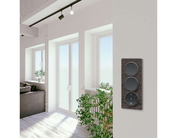 Commande volet roulant à assembler &#034;Odace&#034; anthracite - Brico Dépôt