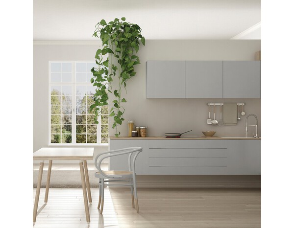 Peinture multi-supports 2en1 Satin 0,75 L Gris porcelaine - V33 - Brico Dépôt