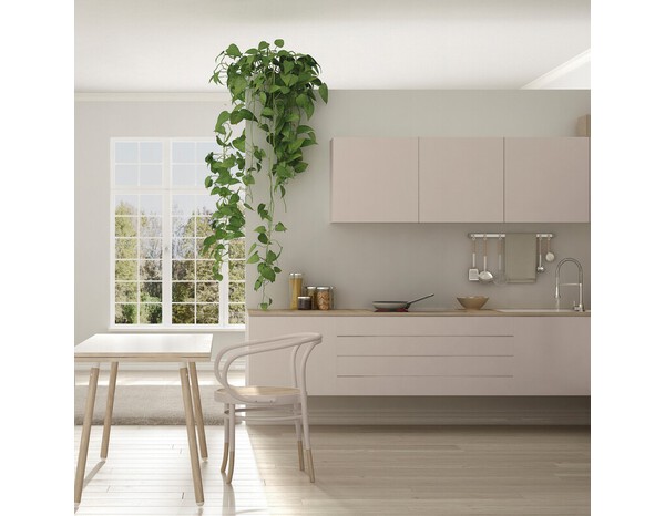 Peinture multi-supports 2en1 Satin 0,75 L Chanvre - V33 - Brico Dépôt