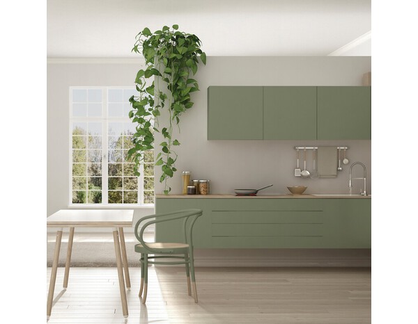 Peinture multi-supports 2en1 Satin 0,75 L Vert kaki - V33 - Brico Dépôt