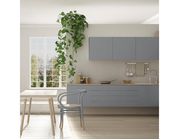 Peinture multi-supports 2en1 Satin 2 L Gris galet - V33 - Brico Dépôt