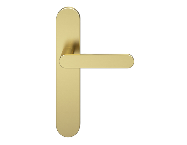 Poignée de porte "Marick" or sans trou - Entraxe adaptable 165-195 mm - Cooke and Lewis - Brico Dépôt