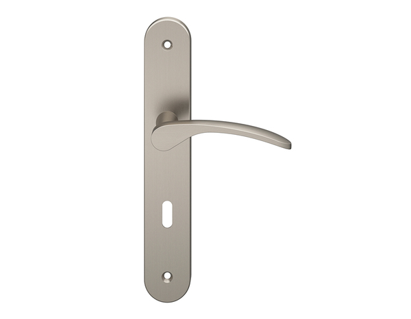 Poignée de porte "Loric" avec trou pour clé - Effet nickel - Entraxe 195 mm - Cooke and Lewis - Brico Dépôt