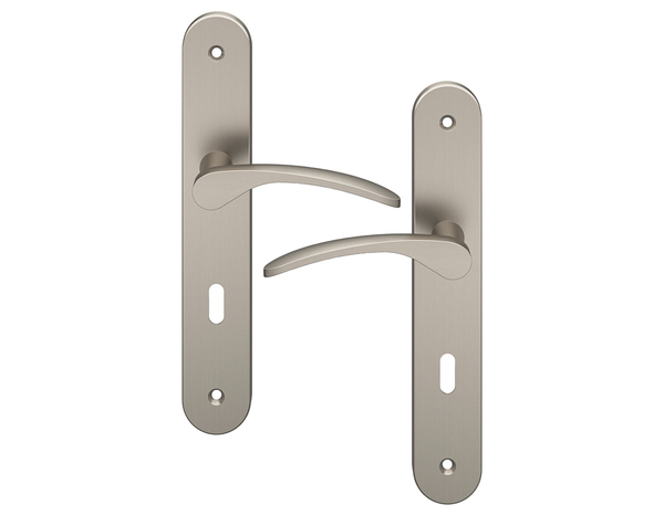 Poignée de porte "Loric" avec trou pour clé - Effet nickel - Entraxe 195 mm - Cooke and Lewis - Brico Dépôt