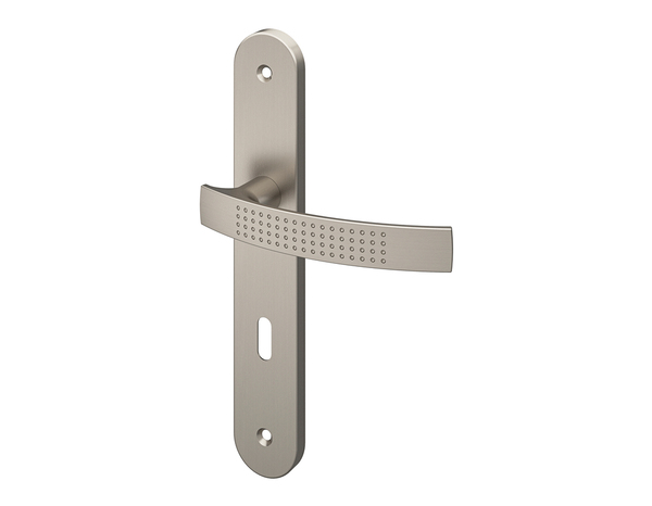 Poignée de porte "Edric" avec trou pour clé - Entraxe 195 mm - Cooke and Lewis - Brico Dépôt