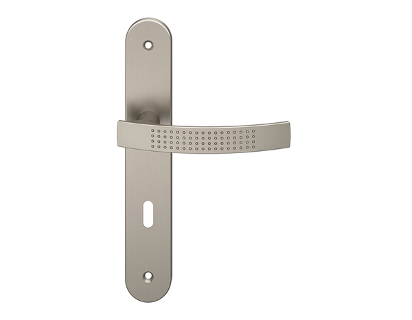 Poignée de porte "Edric" avec trou pour clé - Entraxe 195 mm - Cooke and Lewis - Brico Dépôt