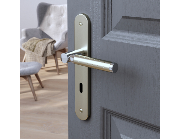 Poignée de porte "Bernice" avec trou pour clé - Entraxe 195 mm - Cooke and Lewis - Brico Dépôt