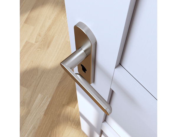 Poignée de porte "Marick" avec trou pour cylindre - Effet nickel - Entraxe adaptable 165-195 mm - Cooke and Lewis - Brico Dépôt