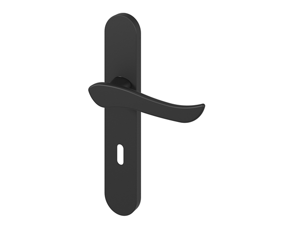 Poignée de porte "Arcles" avec trou pour clé - Noir - Entraxe adaptable 165-195 mm - Cooke and Lewis - Brico Dépôt