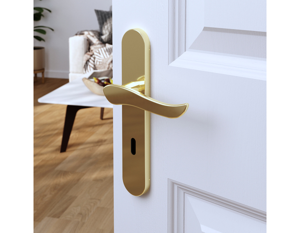 Poignée de porte "Arcles" avec trou pour clé - Effet laiton - Entraxe adaptable 165-195 mm - Cooke and Lewis - Brico Dépôt