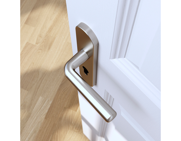 Poignée de porte "Derenic" avec trou pour cylindre - Effet nickel - Entraxe adaptable 165-195 mm - Cooke and Lewis - Brico Dépôt