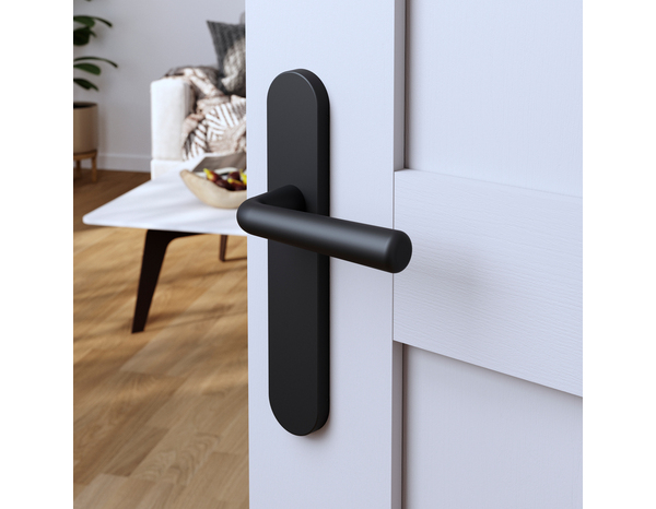 Poignée de porte "Derenic" sans trou - Noir - Entraxe adaptable 165-195 mm - Cooke and Lewis - Brico Dépôt