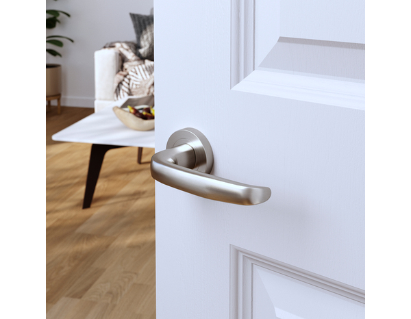 Poignée de porte sur rosace "Goderic" sans trou - Cooke and Lewis - Brico Dépôt