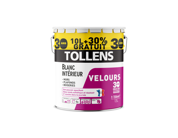 Peinture blanche murs et plafonds bicouche velours - 13 L - Tollens - Brico Dépôt