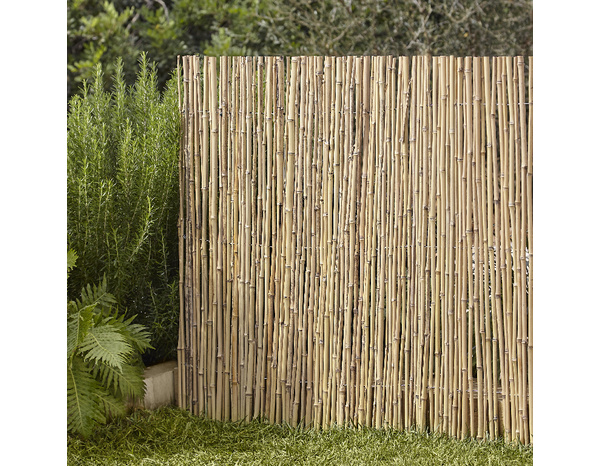Canisse  en bambou 300 x 100 - Marque BLOOMA - Brico Dépôt