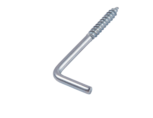 Boite de 2 kg de gonds à visser 3.1 x 25 mm acier - Brenner - Brico Dépôt