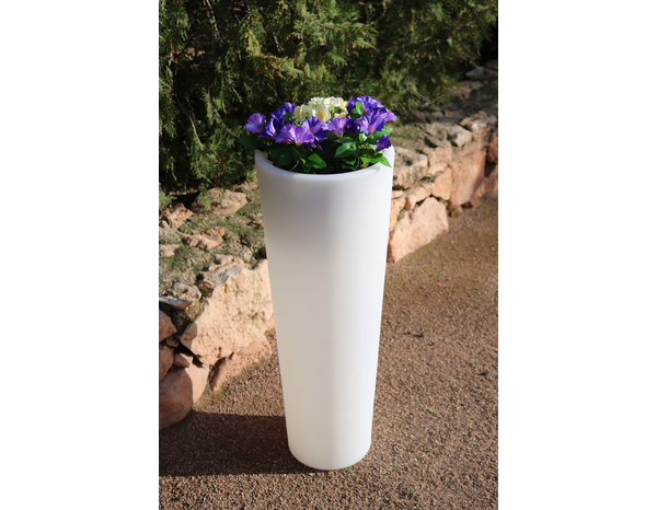 Pot LED Ficus solaire "Smartech" - Brico Dépôt