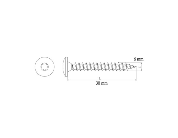 Vis de charnière 6 x 30 mm 20 pièces - Diall - Brico Dépôt