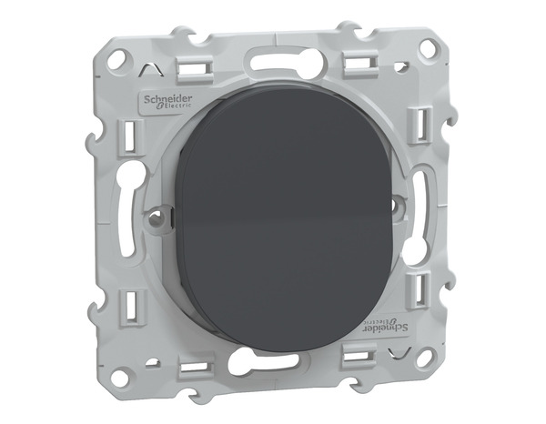 Va-et-vient à vis "Ovalis", anthracite - Brico Dépôt