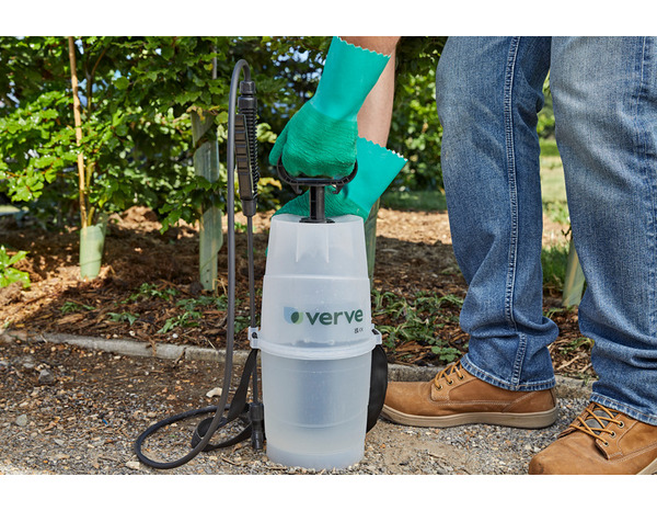 Pulverisateur à pression 5 L - Brico Dépôt