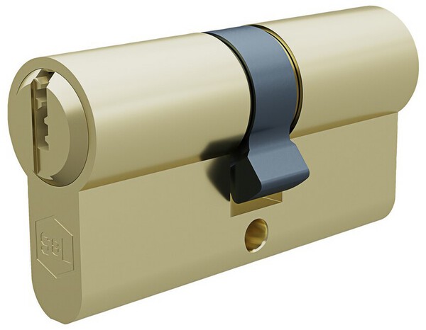 Cylindre 30x40 mm laiton poli avec 3 clefs - Brico Dépôt