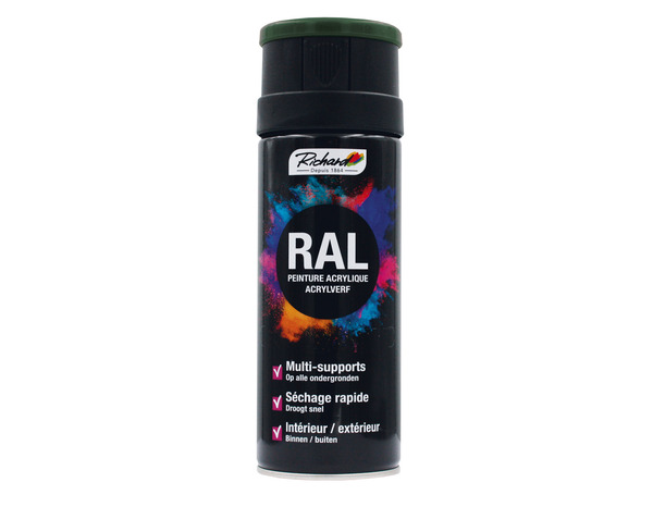 Aerosol 400 ml RAL6005 Vert - Richard - Brico Dépôt