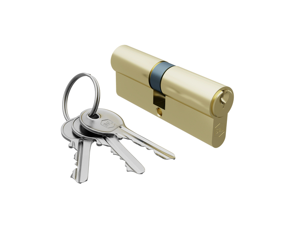 Cylindre 30x40 mm laiton poli avec 3 clefs - Brico Dépôt