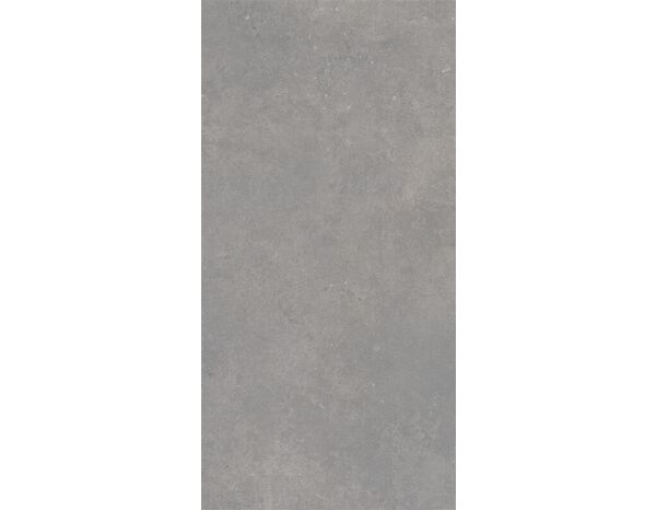 Carrelage de sol intérieur "Metropol" gris foncé l. 60 x L. 120 cm - Brico Dépôt