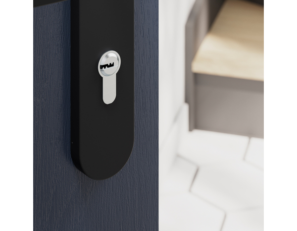 Serrure cylindre 6 goupilles satin nickel 30 X 30 mm - Brico Dépôt