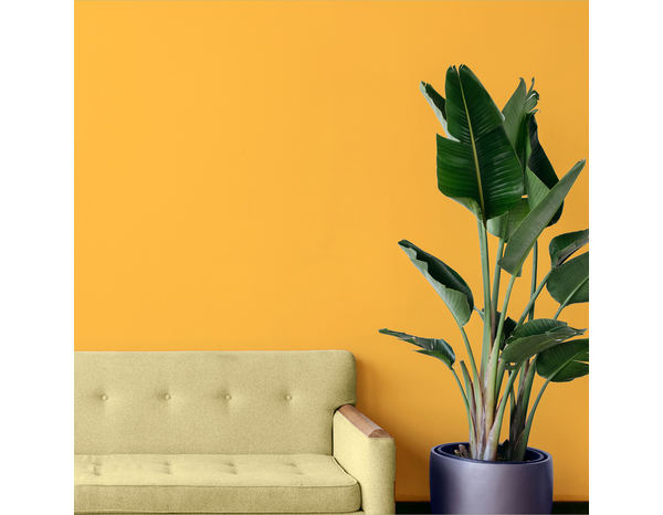 Colorant concentré jaune bouton or pour colorer tous types de peintures 50 ml - Ideacolor - Brico Dépôt