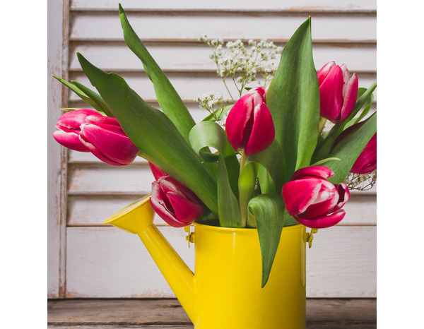 Aerosol multi-supports 400 ml Ral 1003 jaune - Richard - Brico Dépôt