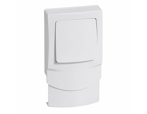 Va-et-vient cadre vertical 12,5mm composable Appareillage saillie blanc - Legrand - Brico Dépôt