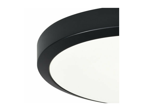 Plafonnier noir led IP65 - Marque BLOOMA - Brico Dépôt
