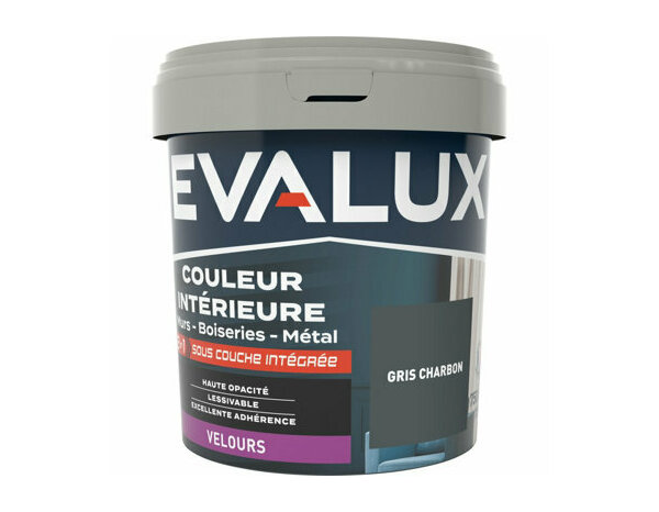 Peinture Gris charbon 0l75 velours 2en1 - Evalux - Brico Dépôt