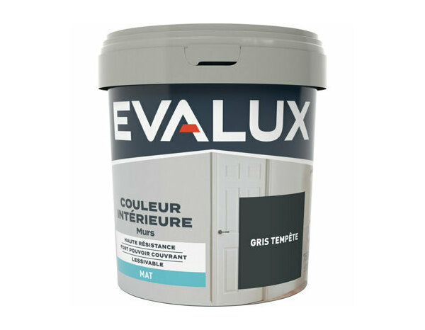 Peinture Gris tempete 0l75 mat - Evalux - Brico Dépôt