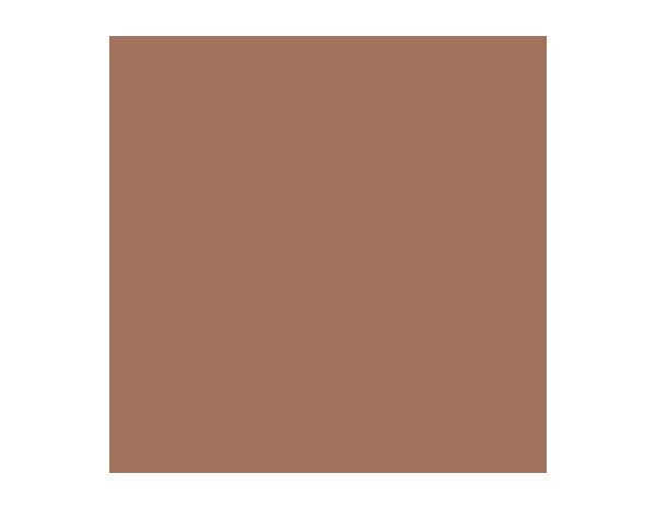 Peinture Terre cuite 0l75 satin 2en1 - Evalux - Brico Dépôt