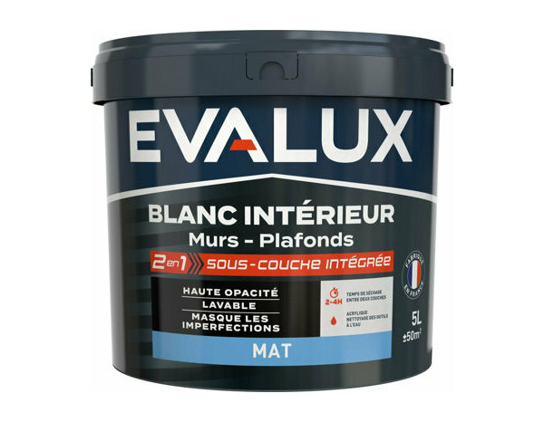 Peinture Blanc 5l mat 2 en 1 - Evalux - Brico Dépôt