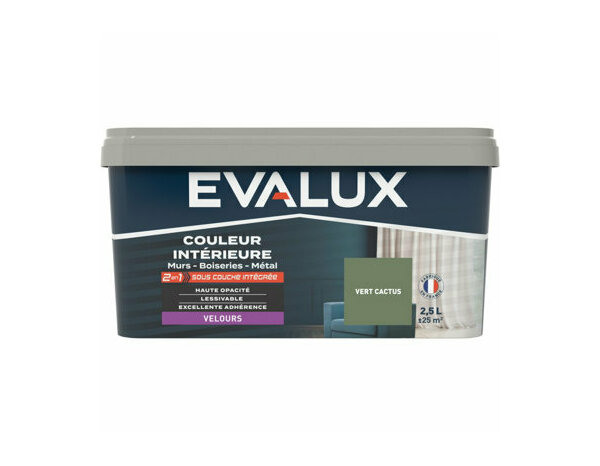 Peinture Vert cactus 2l5 velours 2en1 - Evalux - Brico Dépôt