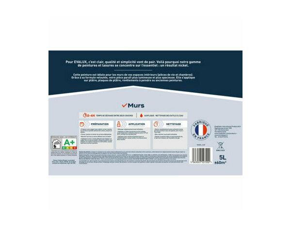 Peinture Blanc 5l velours - Evalux - Brico Dépôt