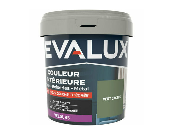 Peinture Vert cactus 0l75 velours 2en1 - Evalux - Brico Dépôt