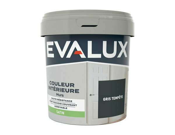 Peinture Gris tempete 0l75 satin - Evalux - Brico Dépôt