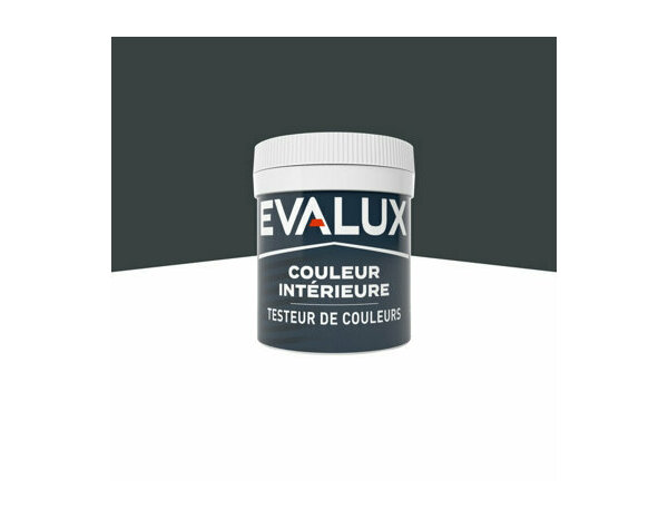 Peinture Gris tempete 50ml mat - Evalux - Brico Dépôt
