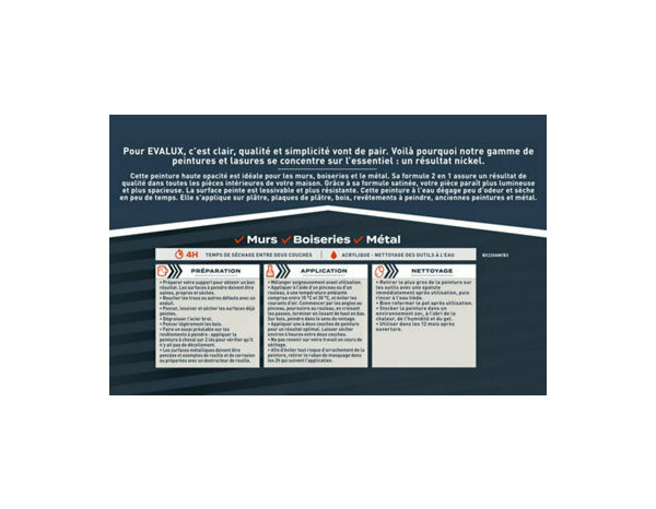 Peinture Gris tempete 0l75 satin 2en1 - Evalux - Brico Dépôt